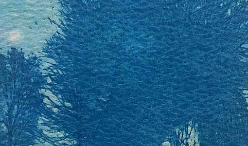 "Wir machen blau" - Malen mit Licht in der Cyanotypie