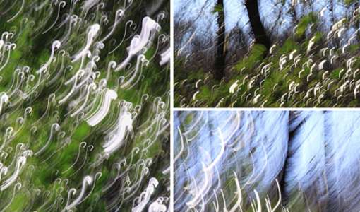 Fotos mit Flügeln: Das Triptychon in der Fotografie